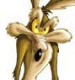 Avatar de Usuario