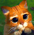 Avatar de Usuario