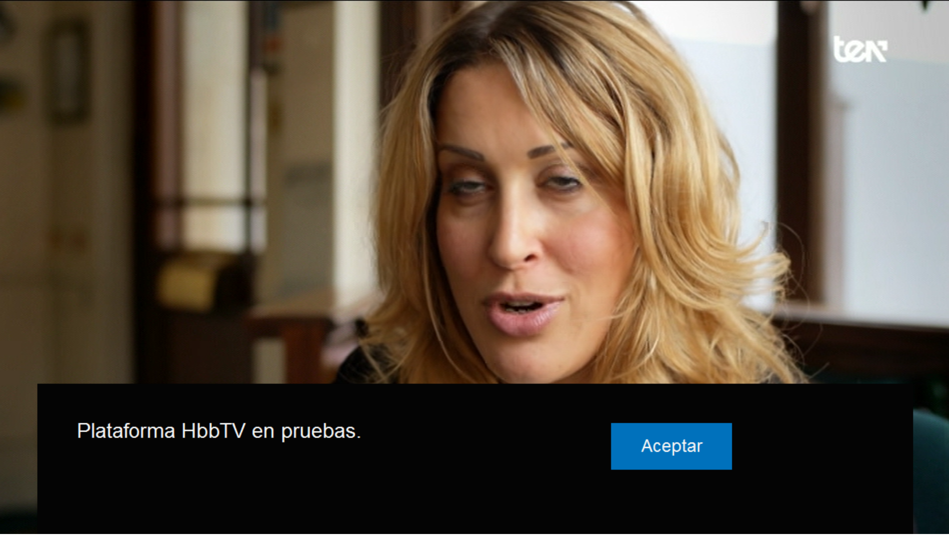 HbbTV TEN.png