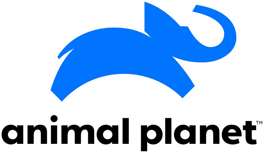 nuevo logo Animal Planet 2018-2019.jpg