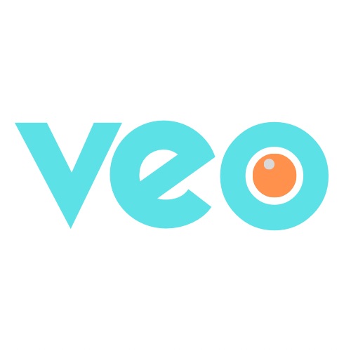 Veo logo 2