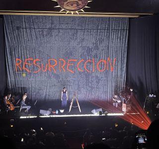 Concierto-de-Ano-Nuevo-de-La-Mesias-actuacion-15