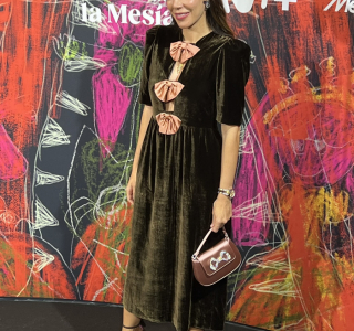 Concierto-de-ano-nuevo-La-Mesias-54