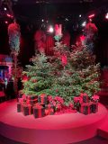 Fiesta-de-Navidad-de-Netflix-29