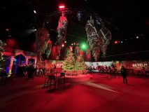 Fiesta-de-Navidad-de-Netflix-30