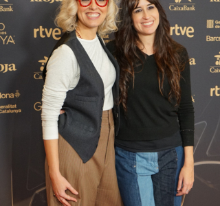 Lectura-de-nominaciones-40-Premios-Goya-48