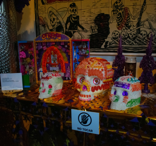 Pase-especial-de-RTVE-al-altar-de-muertos-2025-17