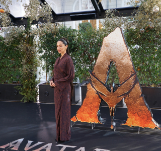 Photocall-de-Avatar-05