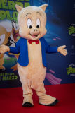 Photocall-de-la-premiere-de-Looney-Tunes-el-dia-que-la-tierra-exploto-04