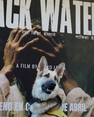 Preestreno-de-Black-Water-11