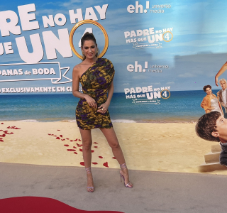 Premiere-de-Padre-no-hay-mas-que-uno-4-063