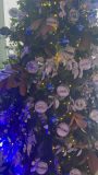 Presentacion-de-Navidad-Total-2023-05