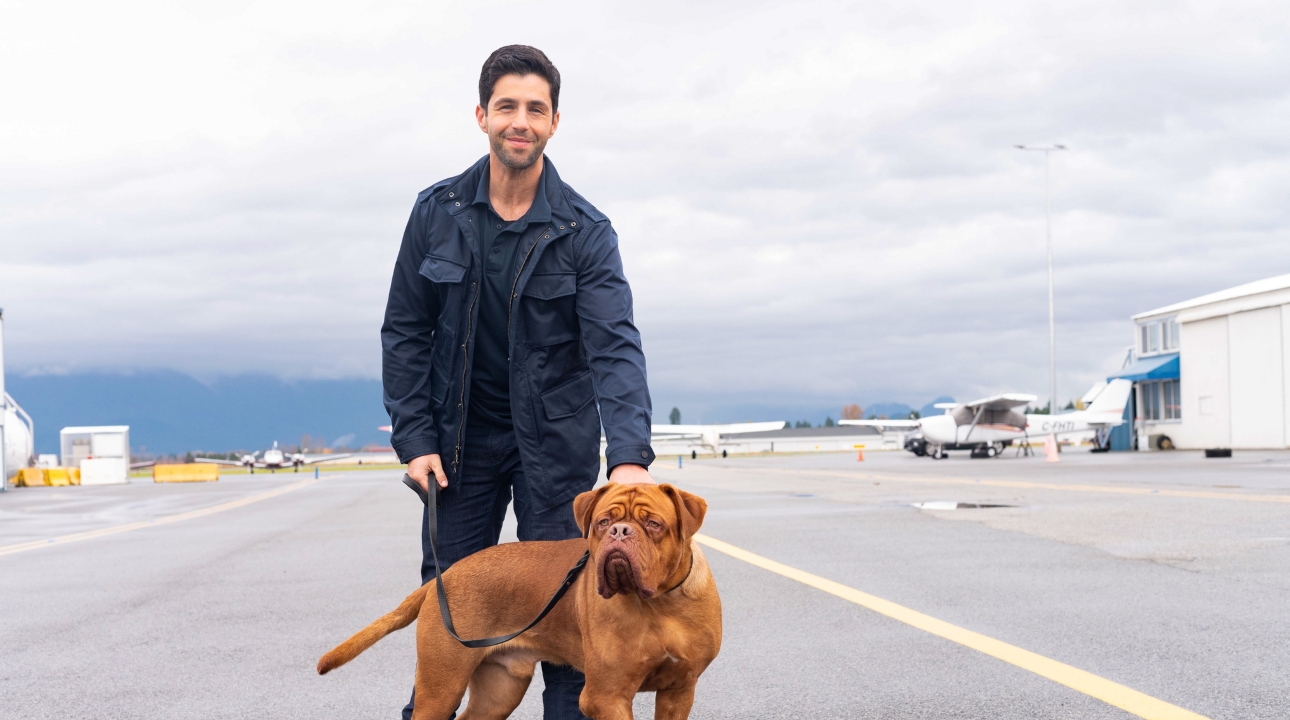 Turner & Hooch Disney+