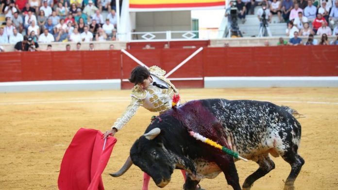 toros