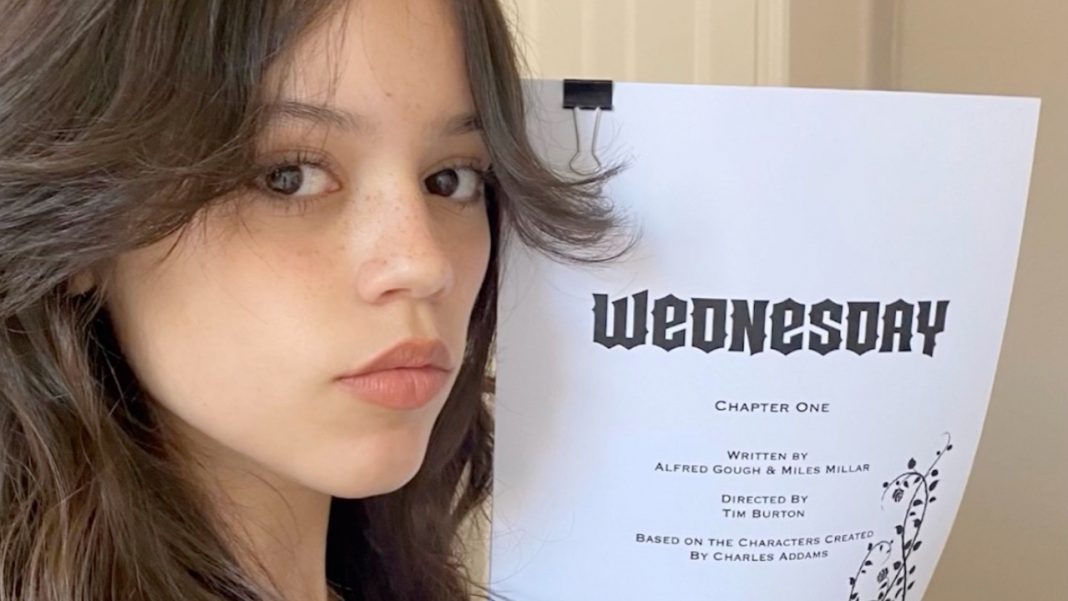 Wednesday - Netflix