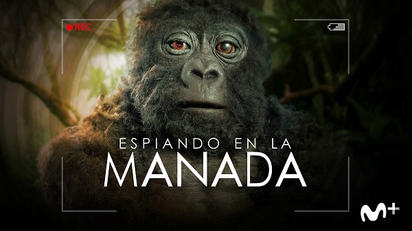 manada