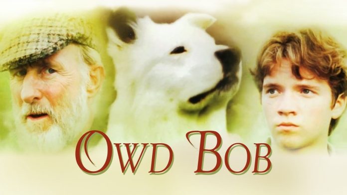elviejobob