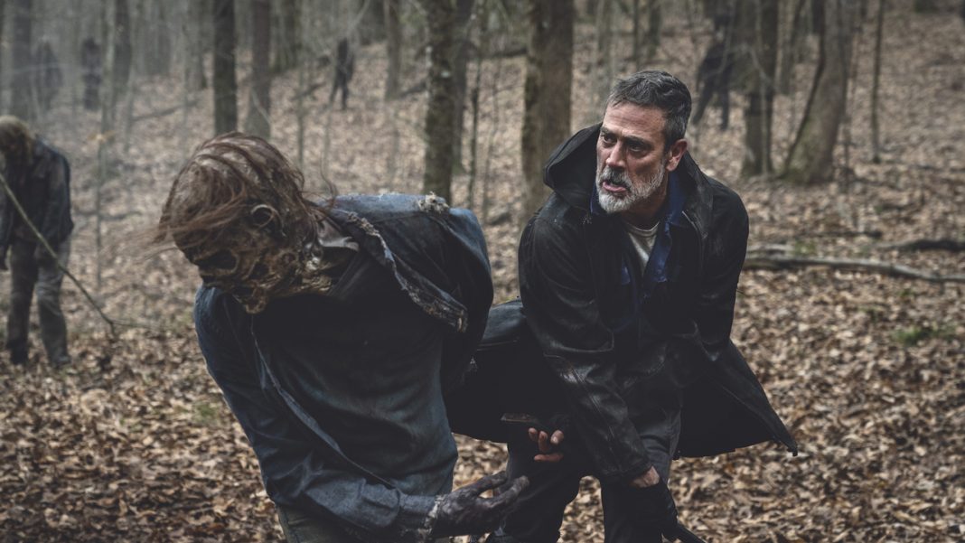 The Walking Dead T11- Fox