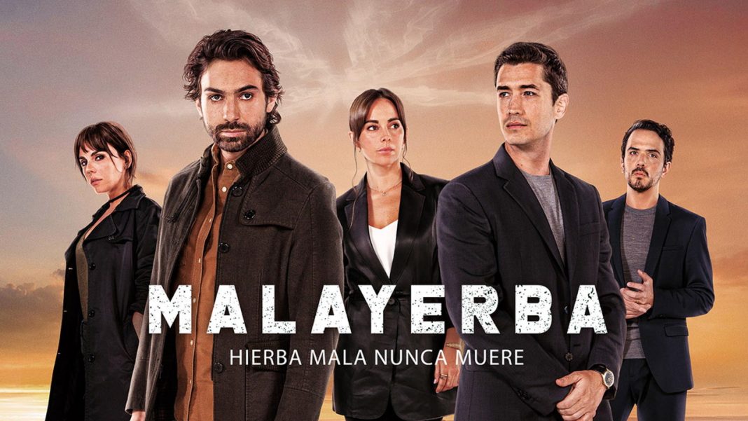 MalaYerba - Starzplay