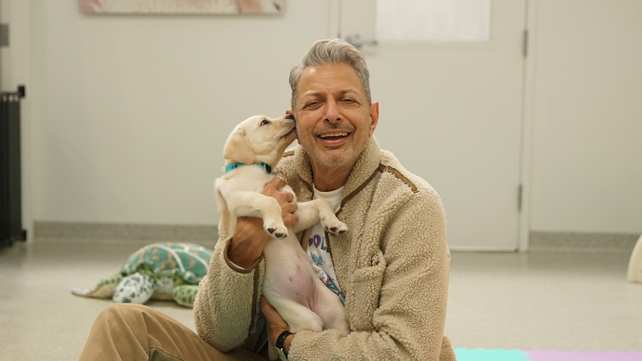 El mundo según Jeff Goldblum - Disney+