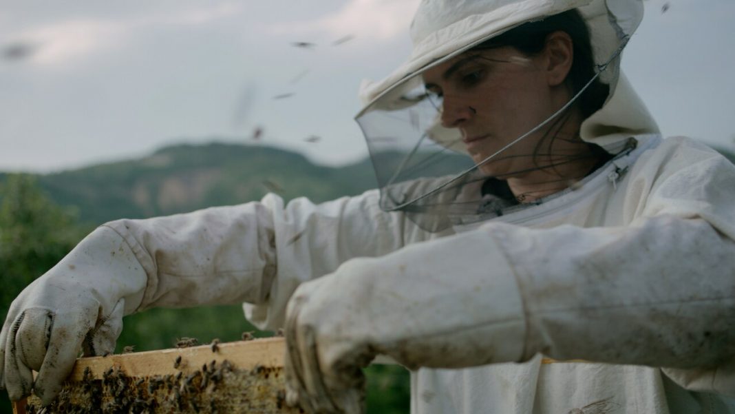 HIVE (Colmena) - Cinemaran