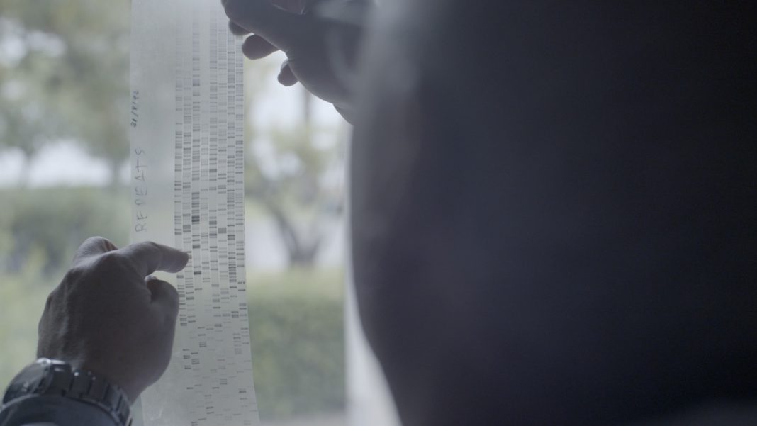 Ciencia de la vida: Longevidad - National Geographic