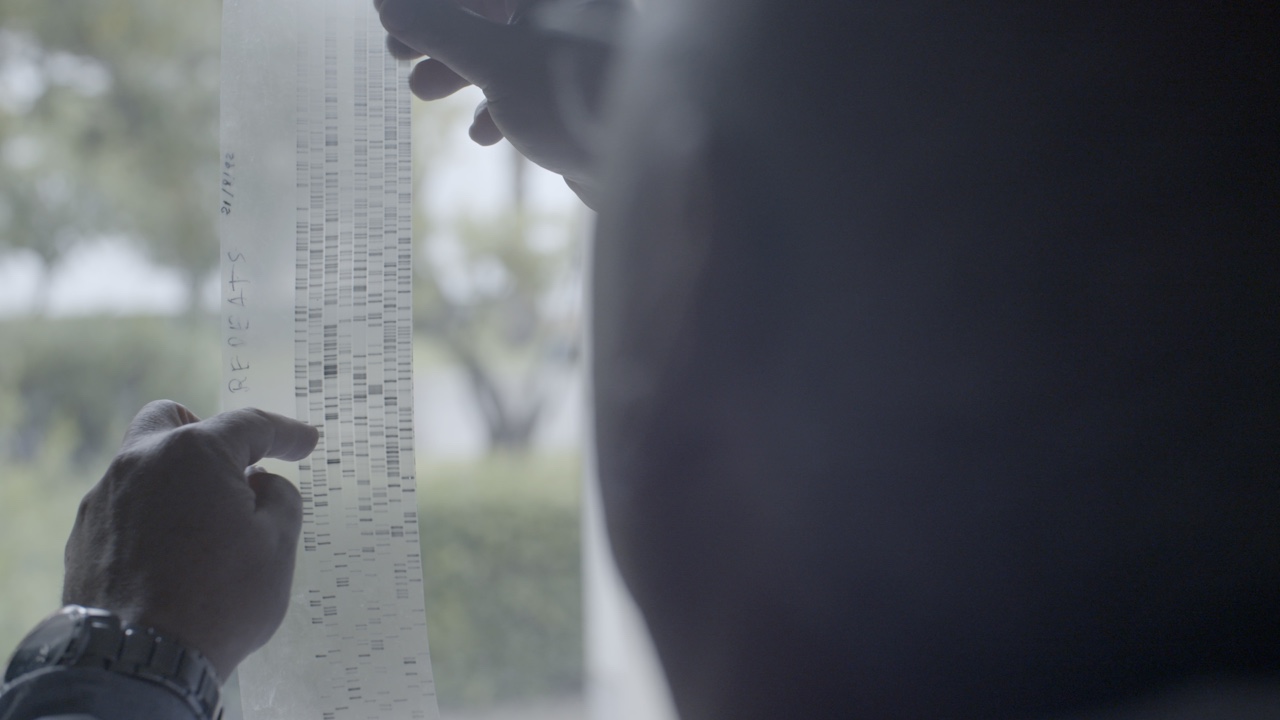 Ciencia de la vida: Longevidad - National Geographic