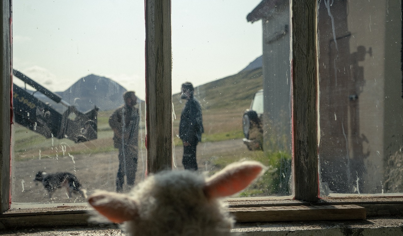 Lamb