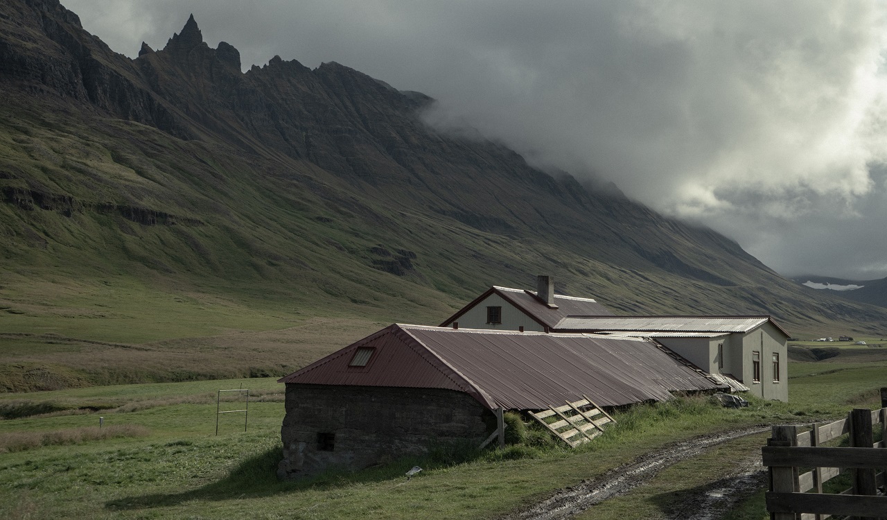 Lamb