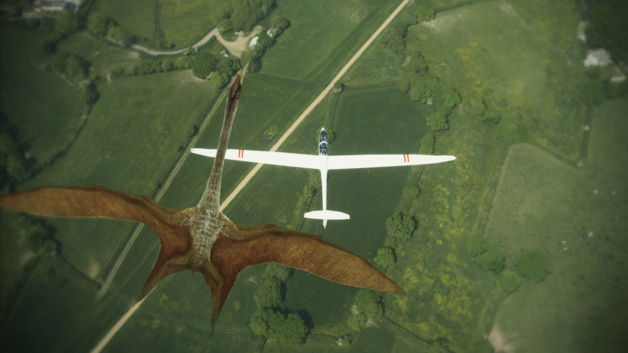 Animales montruosos - Canal Odisea