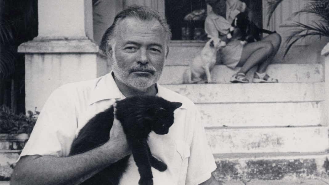Hemingway - Filmin