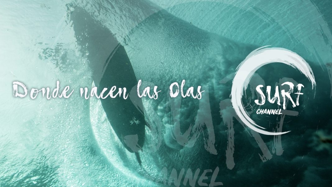 Surf Channel TV