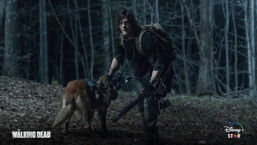 The Walking Dead T11 - Disney+