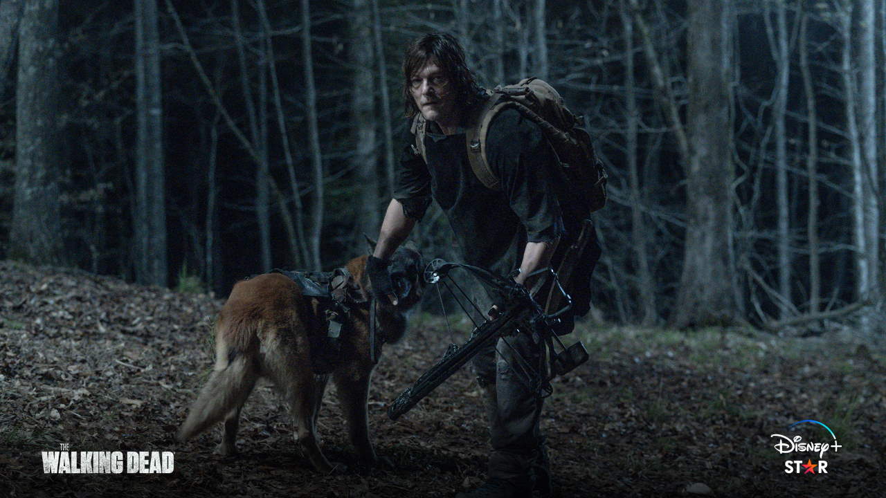 The Walking Dead T11 - Disney+