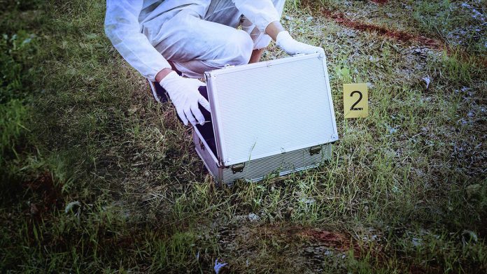 dkiss-la-caja-de-pandora