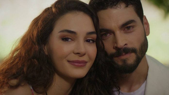 Hercai - Nova