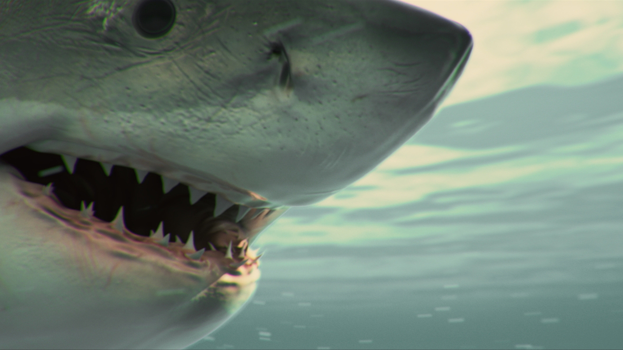 Sharkwater - Youplanet