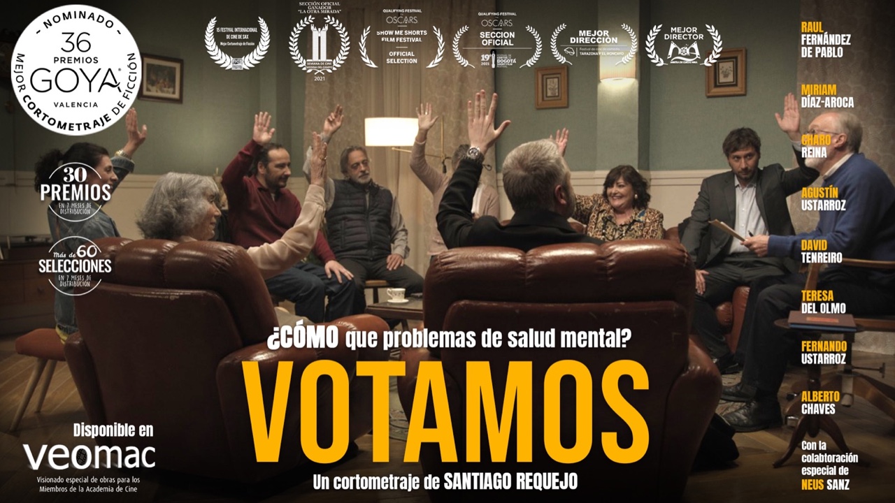 Votamos cartel