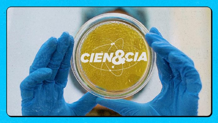 Cien&cia T6