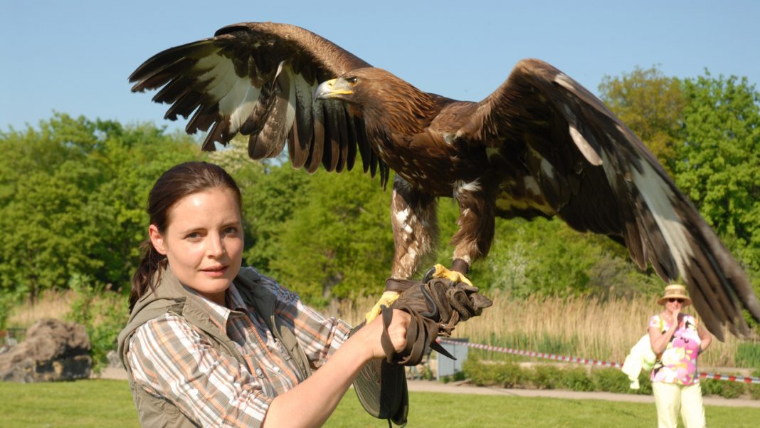 Doctora en el zoo - Nova