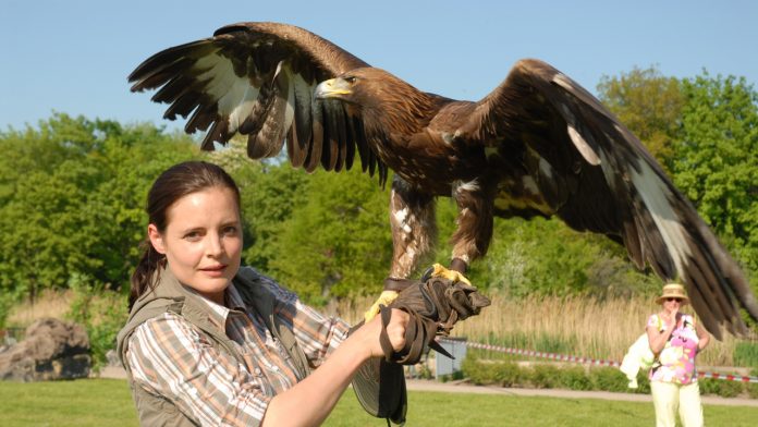 Doctora en el zoo - Nova