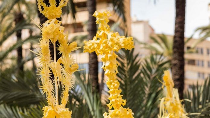 palmas de elche