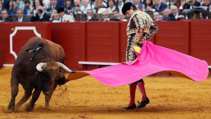 toros madrid