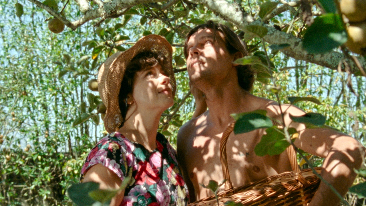 Diarios de Otsoga - Vitrine Films