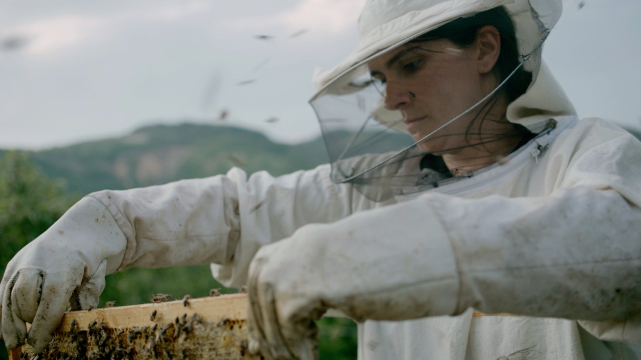 Hive (Colmena) - Movistar Plus+