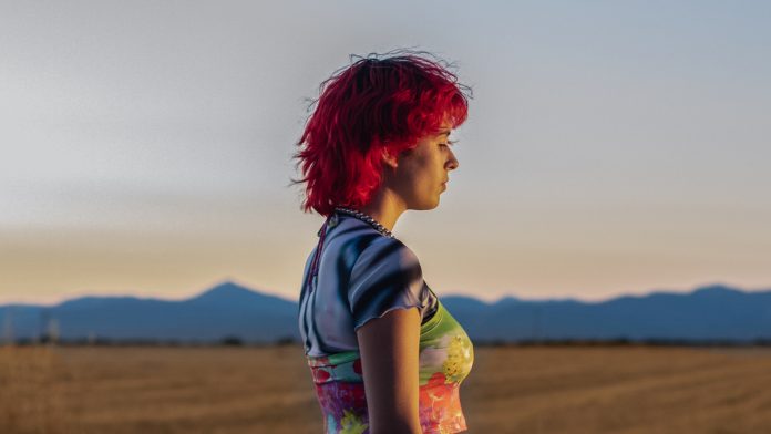 Rainbow - Netflix