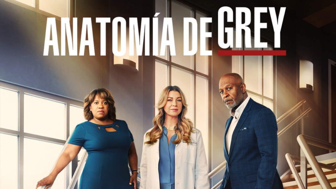 Anatomía de Grey T19 - Disney+