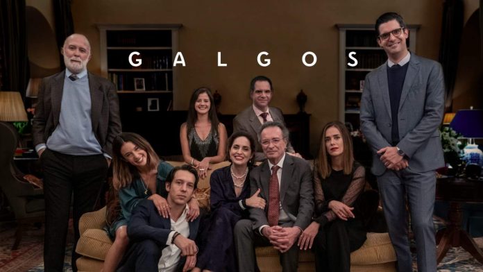 Galgos - Movistar Plus+