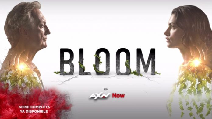 blom
