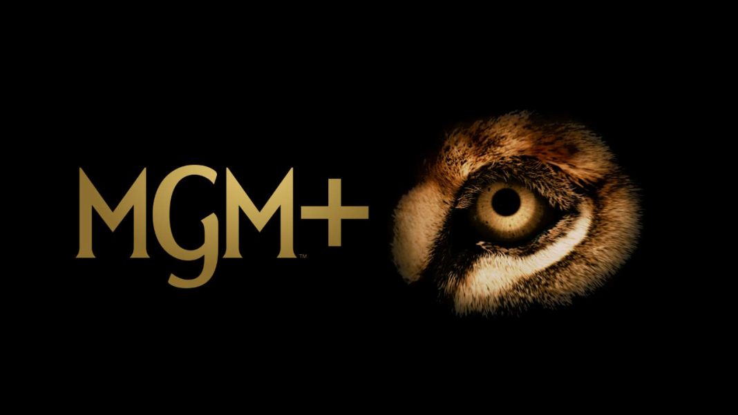 MGM+ International